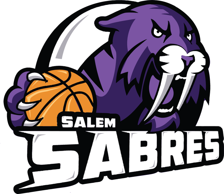 Salem Sabres 2013-Pres Primary Logo iron on transfers for T-shirts